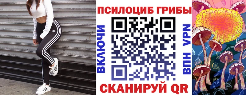 Галлюциногенные грибы Cubensis  как найти закладки  Исилькуль 
